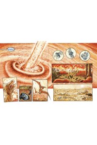 Купер П. Инсектополис: история насекомых от Большого взрыва до наших дней