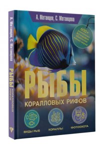 Матанцев А.Н., Матанцева С.Г. Рыбы коралловых рифов