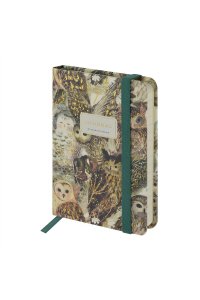 ЗАПИСН КН 100Л А6 BRUNO VISCONTI MEGAPOLIS JOURNAL FAUNA.ВОЛШЕБНЫЕ СОВЫ (РЕЗИНКА) 3-478/20 (2952)