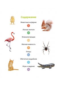 Бомон Э. Животные разных стран