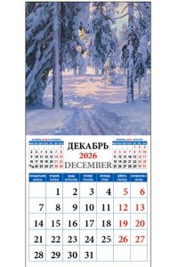 К-РЬ НАСТ 2026 ПЕЙЗАЖИ 12Л А4 220*240 ММ ДЕНЬ ЗА ДНЕМ АРТ.45609