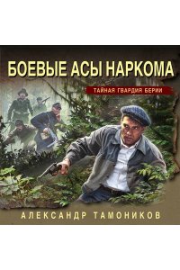 Боевые асы наркома (pocket)