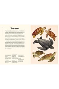 Триник Л. Океанариум