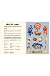 Триник Л. Океанариум