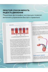 Анатомия стретчинга. Большая иллюстрированная энциклопедия