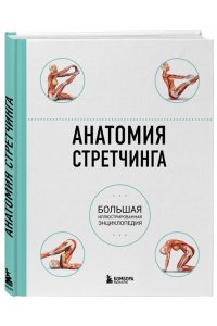 Анатомия стретчинга. Большая иллюстрированная энциклопедия