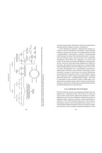 Педулла Г. Никколо Макиавелли. Стяжать власть, не стяжать славу (первое оформление)