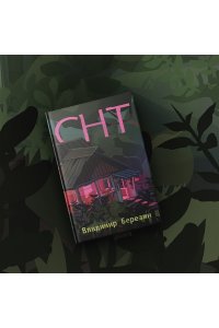 Березин В.М. СНТ