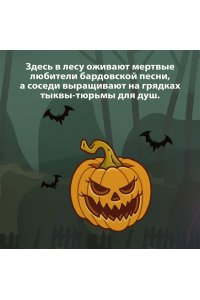 Березин В.М. СНТ