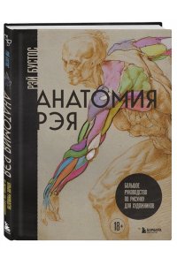 Бустос Р. Анатомия Рэя. Большое руководство по рисунку для художников