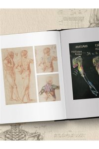 Бустос Р. Анатомия Рэя. Большое руководство по рисунку для художников