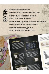 Бустос Р. Анатомия Рэя. Большое руководство по рисунку для художников
