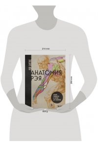 Бустос Р. Анатомия Рэя. Большое руководство по рисунку для художников