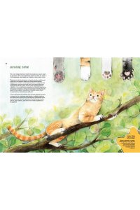 Бурсе К. Невероятные коты. Всё, что нужно знать о любимых питомцах