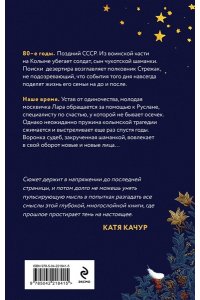 Барсукова Л.А. Запасные крылья