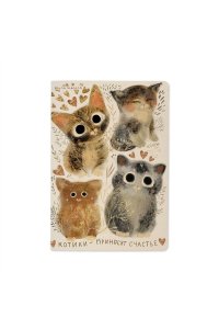 ТЕТР 40 КЛЕТ BRUNO VISCONTI SOFT TOUCH КОТИКИ СЧАСТЬЕ 7-40-001/146 (4818)