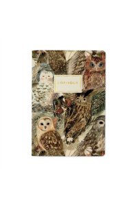 ТЕТР 40 КЛЕТ BRUNO VISCONTI SOFT TOUCH ВОЛШЕБНЫЕ СОВЫ 7-40-001/147 (4825)
