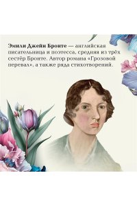 Бронте Э. Грозовой перевал
