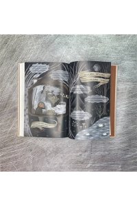 Недетские сказки о смерти, сексе и конце света. Смыслы известных народных текстов АСТ 817-2