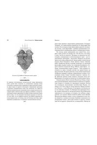 Холл М.П. Тайные учения: От древних мистерий до церемониальной магии (европокет)