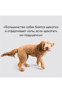 Романова Т.В. Рабочая тетрадь владельца собаки