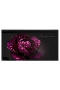 ЕЖЕНЕДЕЛЬНИК 64Л 171*93 ММ ФЕНИКС+ МАТОВ ЛАМИН ПИОН 71560