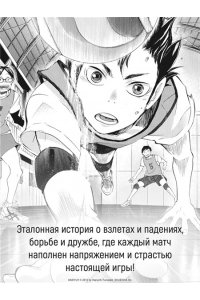 Фурудатэ Х. Волейбол! Кн. 2. Вперед, команда ?Карасуно?! Соперники