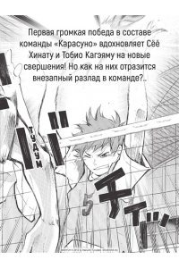 Фурудатэ Х. Волейбол! Кн. 2. Вперед, команда ?Карасуно?! Соперники