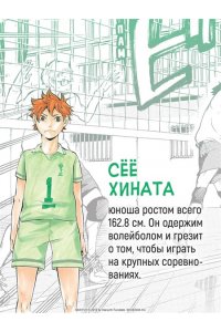 Фурудатэ Х. Волейбол! Кн. 1. Хината и Кагэяма. Вид с высоты