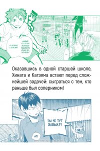 Фурудатэ Х. Волейбол! Кн. 1. Хината и Кагэяма. Вид с высоты