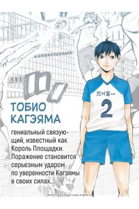 Фурудатэ Х. Волейбол! Кн. 1. Хината и Кагэяма. Вид с высоты