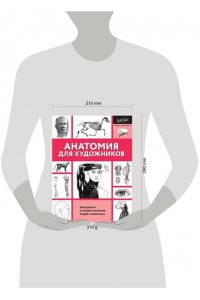 Голдман К. Анатомия для художников