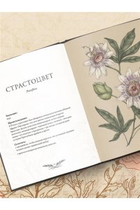 Ру Д. Флориография. Карманное руководство по викторианскому языку цветов