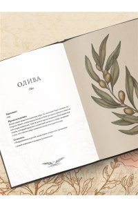 Ру Д. Флориография. Карманное руководство по викторианскому языку цветов