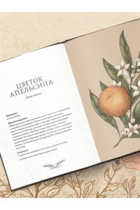 Ру Д. Флориография. Карманное руководство по викторианскому языку цветов
