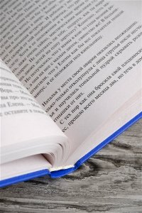 Щербакова Г.Н. Женщины в игре без правил. Слабых несет ветер