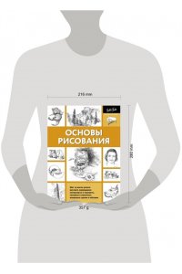 Основы рисования