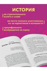 Дэвис С. Жизнь на грани. Aerosmith