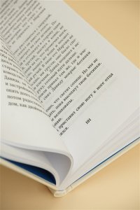 Шлинк Б. Поздняя жизнь