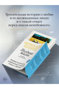 Шлинк Б. Поздняя жизнь