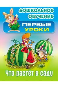 +ДОШКОЛЬНОЕ ОБУЧЕНИЕ.ПЕРВЫЕ УРОКИ.(А5+).ЧТО РАСТЕТ В САДУ