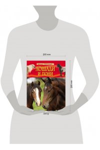 Лошади и пони. Детская энциклопедия