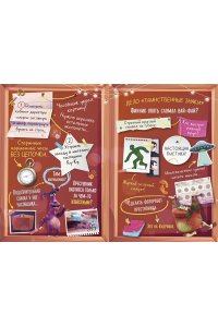 Абдеева Г.Г. Детектив Финник. Бум странных дел