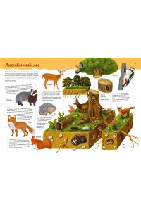 Барсотти И. Животные. Мой первый атлас в картинках