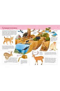 Барсотти И. Животные. Мой первый атлас в картинках