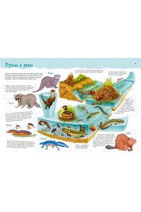 Барсотти И. Животные. Мой первый атлас в картинках