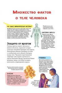МакРей Э. Тело человека