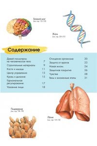 МакРей Э. Тело человека