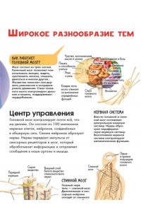 МакРей Э. Тело человека