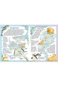 Барсотти Э. Атлас животных в картинках. Путешествие вокруг света